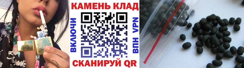 где можно купить   Грязи  ГАШ Изолятор 