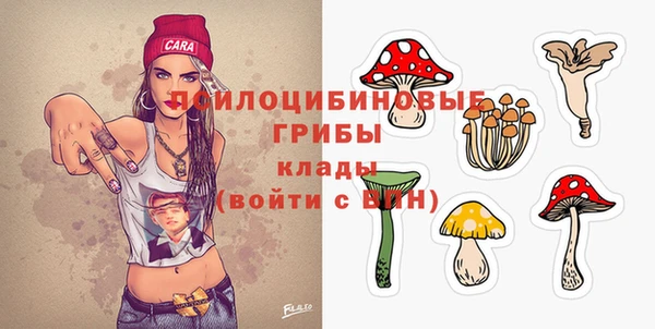 прущие крисы Абаза