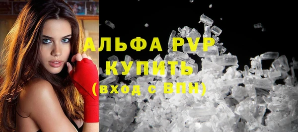прущие крисы Абаза