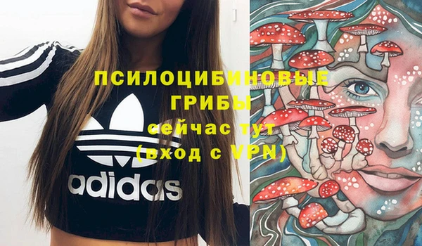 героин Алзамай