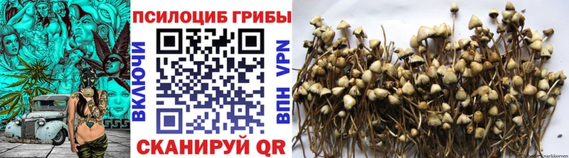 Псилоцибиновые грибы мухоморы Грязи